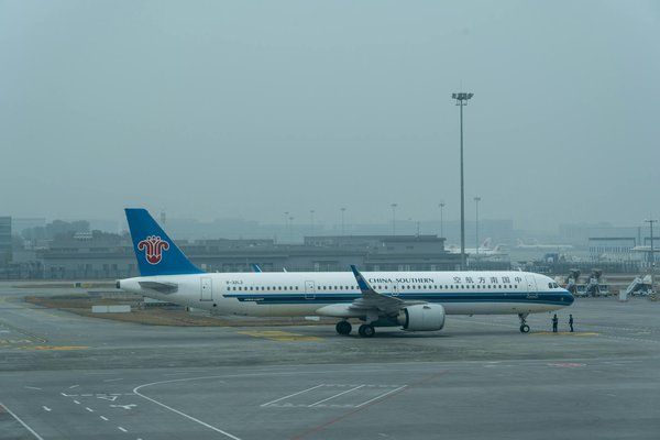Les animaux fascinants de tahiti : entre terre et mer