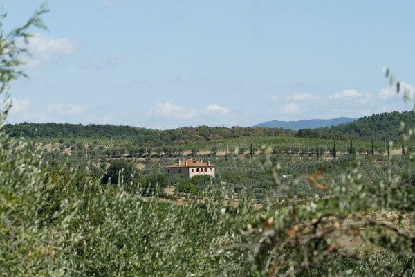 Où séjourner pour des vacances en Toscane avec des ateliers de poterie et des visites de vignobles?